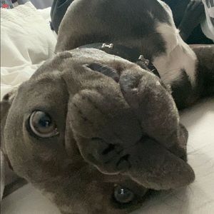 Meet your Posher, Henna